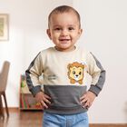 Infants' Dark Grey Cotton Round Neck Pullover Sweatshirt, गहरा ग्रे, small