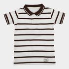 Boys Brown Round Neck Casual Boys T-Shirt, भूरा, small