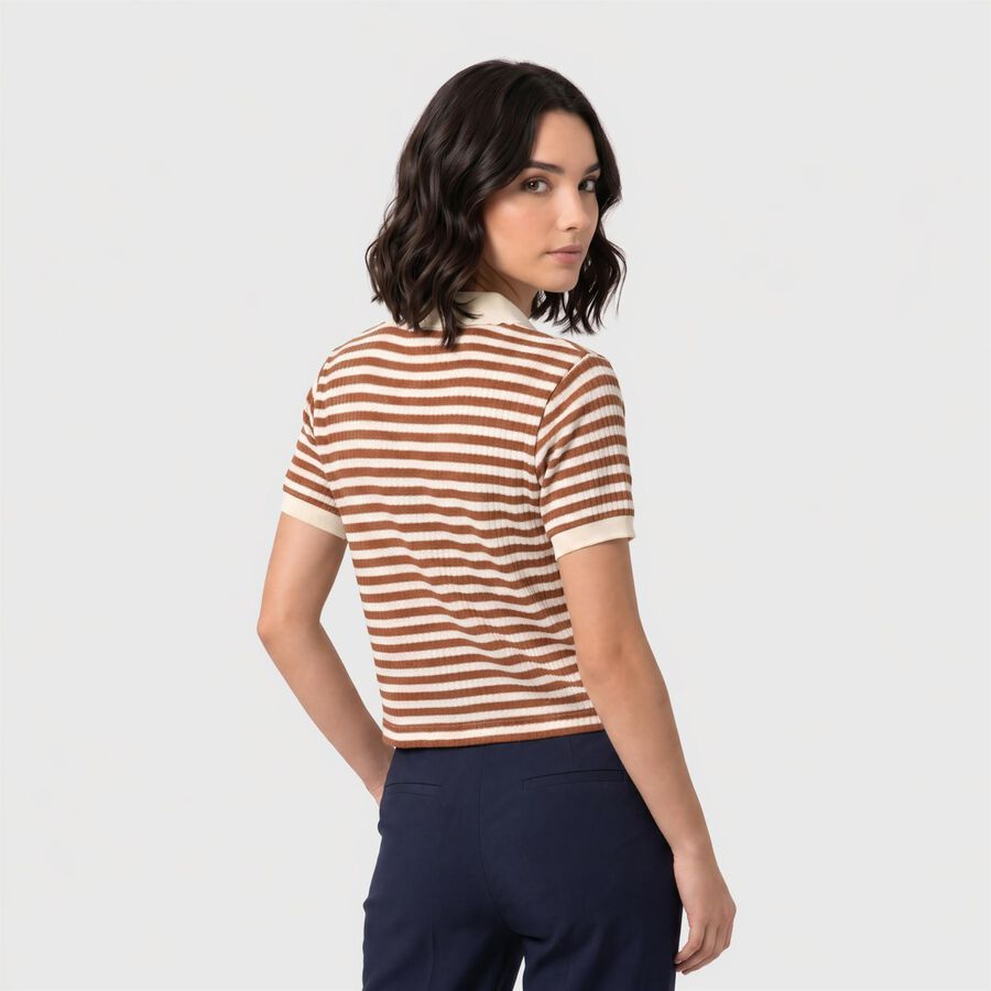 Women's Brown Cotton Polo Neck Crop Top, Brown, large