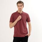 Men's Muted Maroon Cotton Polo Collar Casual T-Shirt, Pink, small