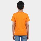 Boys Rust Crew Neck Regular Boys T-Shirt, रस्ट, small