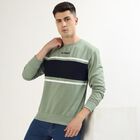 Men's Light Sage Green Crew Neck Casual Sweatshirt, हल्का हरा, small image number null