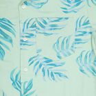 Boys' Light Sage Green Cotton Regular Collar Casual Shirt, Light Green, small image number null