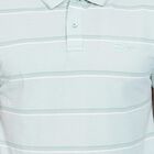 Men's Collared Half Sleeves T-Shirt , हल्का हरा, small image number null