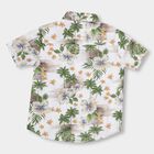 Boys' 100% Cotton Casual Shirt , Off White, small image number null