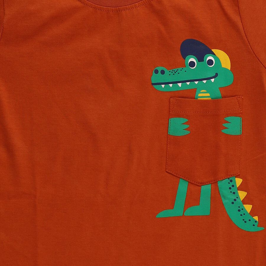 Boys Burnt Orange Cotton Round Neck Casual T-Shirt, Brown, large