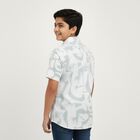 Boys' Light Sage Green Cotton Half Sleeve Button-Down Casual Shirt, Light Green, small image number null