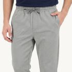 Men's Grey Slim Fit Jogger, हल्का ग्रे, small