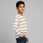 Boys Beige and White Round Neck Casual T-Shirt, भूरा, small image number null