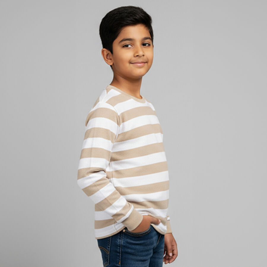 Boys Beige and White Round Neck Casual T-Shirt, भूरा, large image number null