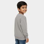 Boys Light Grey Crew Neck Casual Sweatshirt, Light Grey, small