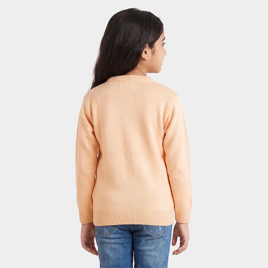 Girls' Light Pink Crew Neck Embroidered Pullover, Light Pink, large