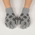 Boys' Gloves, Light Grey, small image number null