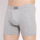 Men's Trunks , मिश्रित हल्का ग्रे, small image number null