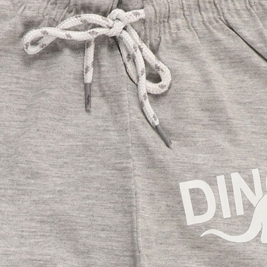 Boys' Light Grey Dinosaur Printed Cotton Blend Pyjama, Melange Light Grey, large image number null