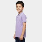 Boys Lilac Cotton Polo Collar Preppy Half Sleeves T-Shirt, Lilac, small
