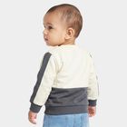 Infants' Dark Grey Cotton Round Neck Pullover Sweatshirt, गहरा ग्रे, small