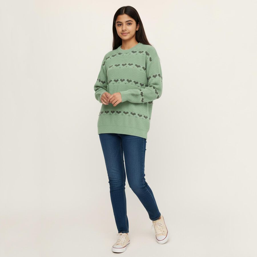 Girls Light Sage Green Crew Neck Casual Pullover, हल्का हरा, large image number null