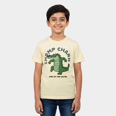 Boys White Cotton Round Neck Regular Boys T-Shirt