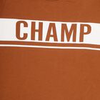 Boys' Rust Orange Crew Neck Casual T-Shirt, Brown, small image number null