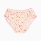 Girls' 100% Cotton Panty, मूँगा (कोरल), small image number null