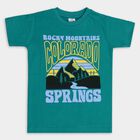 Boys' 100% Cotton Half Sleeves T-Shirt, Dark Green, small image number null