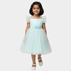 Girls' Navy Blue and Pink Fit and Flare Floral Printed Frock, हल्का नीला, small