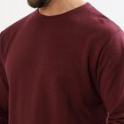 Men's Deep Maroon Crew Neck Full Sleeve T-Shirt, मरून, small image number null