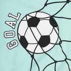 Boys Mint Green Crew Neck Casual Sweatshirt, एक्वा, small image number null