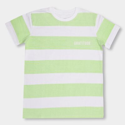 Boys' 100% Cotton Half Sleeves T-Shirt 