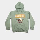 Boys' Mint Green Hoodie Neck Graphic Print Sweatshirt, हल्का हरा, small