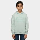 Boys Light Sage Green Hooded Neck Casual Sweatshirt, Light Green, small image number null