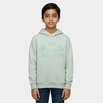Boys Light Sage Green Hooded Neck Casual Sweatshirt