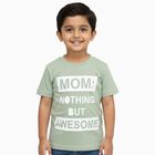 Boys' Half Sleeves T-Shirt, Light Green, small image number null