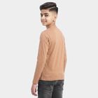Boys Brown Crew Neck Regular T-Shirt, Brown, small