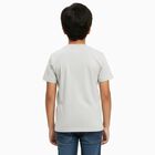 Boys Light Grey Crew Neck Casual Half Sleeve T-Shirt, Ecru Melange, small image number null