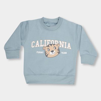 Infants Muted Baby Blue Crew Neck Casual Sweatshirt