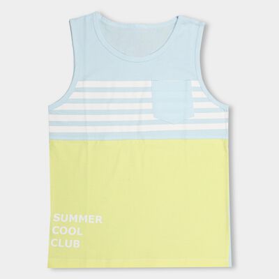 Boys' 100% Cotton T-Shirt 