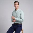 Men's Light Green Spread Collar Classic Formal Shirt, Light Green, small