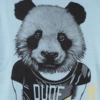 Boys Light Blue Crew Neck Graphic Sweatshirt, Light Blue, small