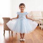 Girls' Light Blue Fit and Flare Floral Applique Party Wear Frock, हल्का नीला, small