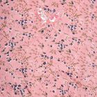 Girls' T-Shirt , Light Pink, small image number null