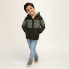 Boys Dark Olive Green Hooded Neck Casual Pullover, Olive, small image number null