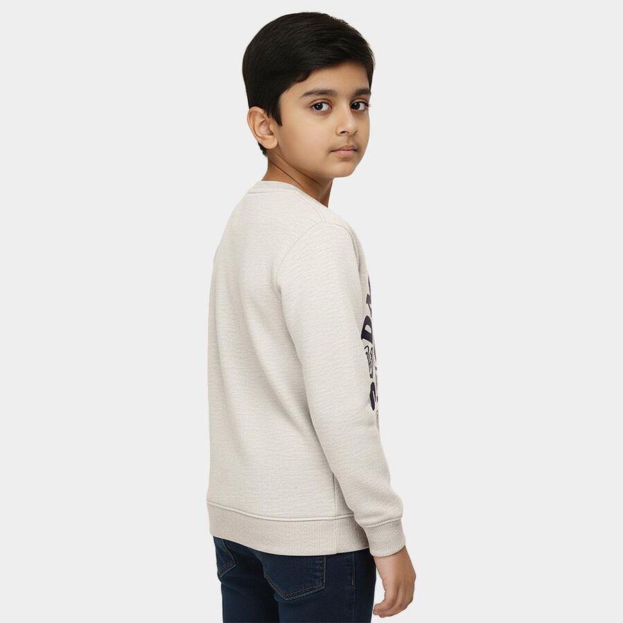 Boys Light Grey Crew Neck Graphic Sweatshirt, Ecru Melange, large image number null