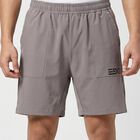 Men's Light Grey Regular Fit Casual Shorts, Light Grey, small