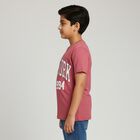 Boys Dusty Rose Crew Neck Casual T-Shirt, Pink, small image number null