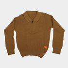 Boys Brown Collared Half Zip Pullover, भूरा, small
