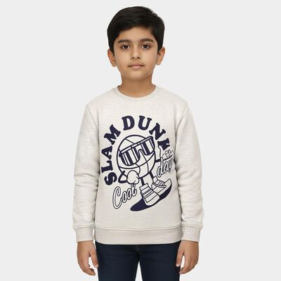 Boys Light Grey Crew Neck Graphic Sweatshirt