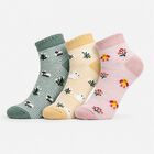 Women's Assorted Regular Fit Striped Novelty Pack of 3 Socks, Assorted, small