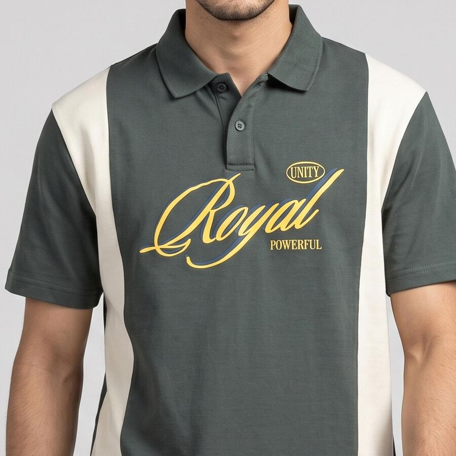 Men Light Green Polo Neck Polo T-Shirt, Light Green, large